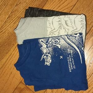Two Dinosaur Toddler Shirts